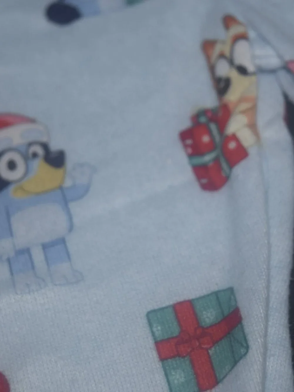 Bluey ultimate cozy
